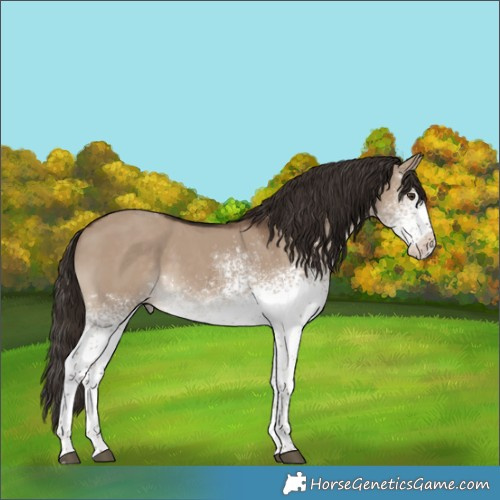 Horse Color:White Spotted Liver Red Dun Tobiano 