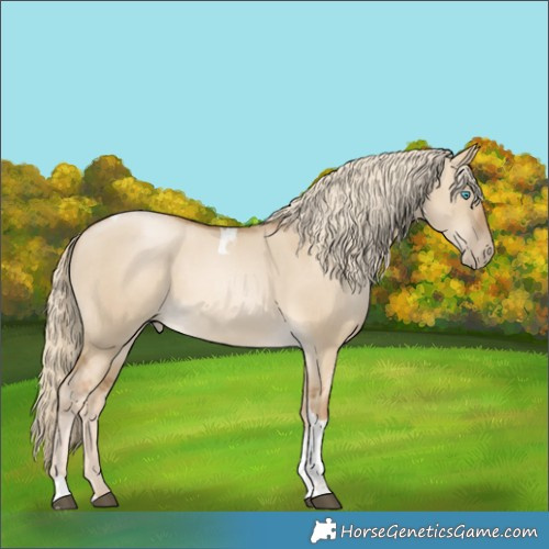 Horse Color:Liver Red Dun Snowdrop Pearl Tobiano