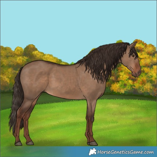 Horse Color:Liver Red Dun 