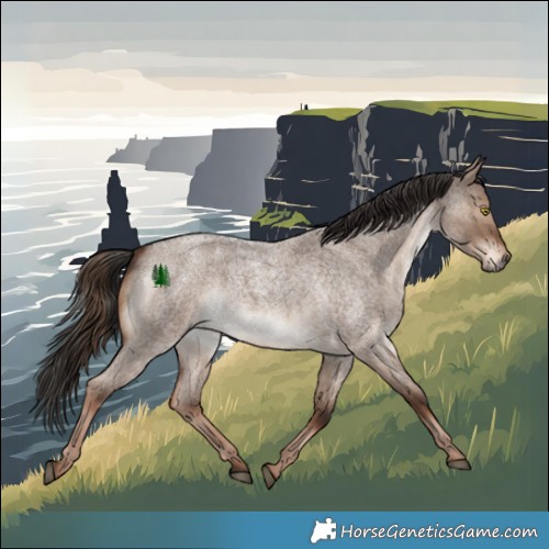 Horse Color:White Spotted Liver Red Dun Roan 