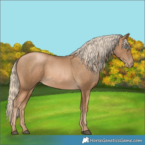 Horse Color:White Spotted Chocolate Palomino Snowdrop 