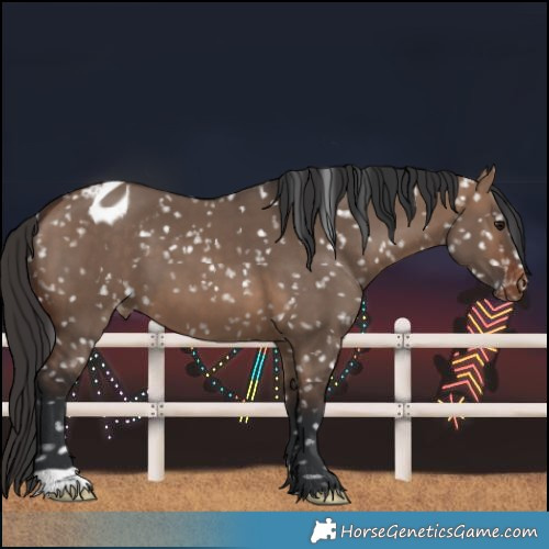 Horse Color:Brown Dun Blanket 