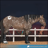 Horse Color:Brown Dun Blanket 