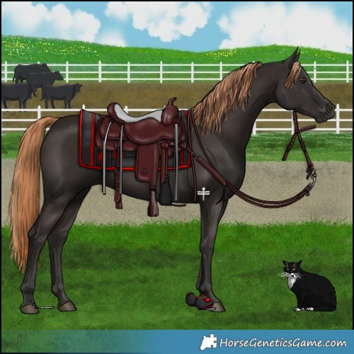 Horse Color:Liver Chestnut 