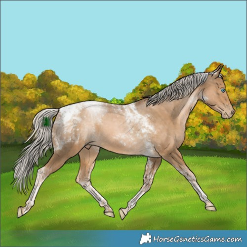 Horse Color:Chocolate Palomino Pearl Tobiano 