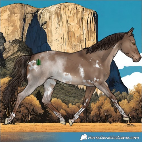 Horse Color:White Spotted Liver Red Dun Tobiano 