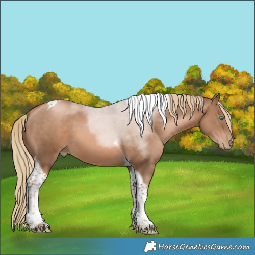 Horse Color:Liver Chestnut Pearl Tobiano 