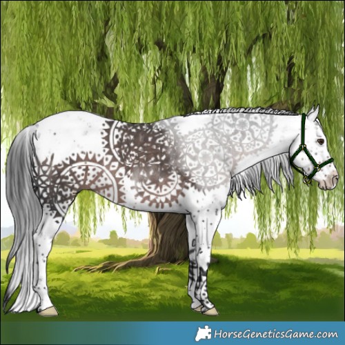Horse Color:Platinum Liver Chestnut Sabino