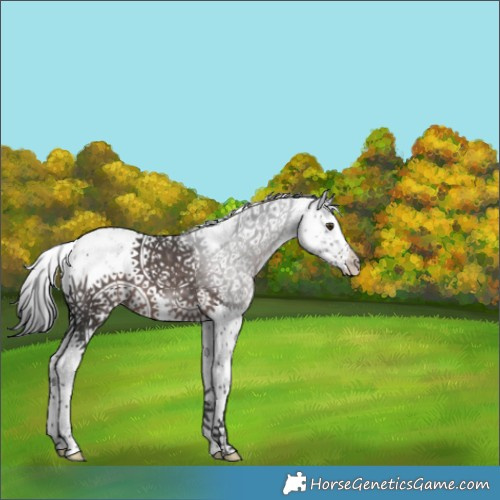 Horse Color:Platinum Liver Chestnut Sabino 