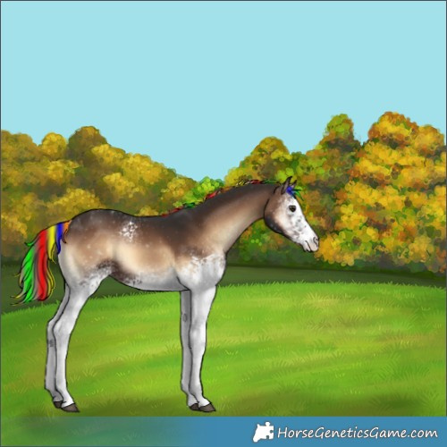 Horse Color:Unknown 