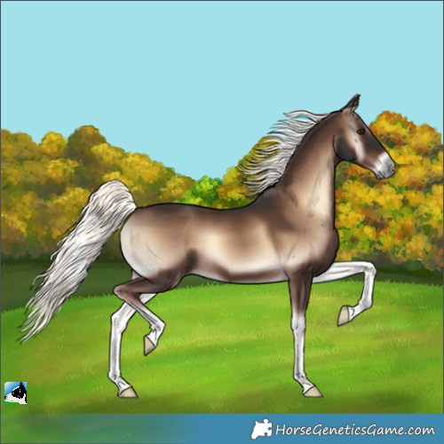 Horse Color:White Spotted Liver Red Onyx Mushroom Tobiano 