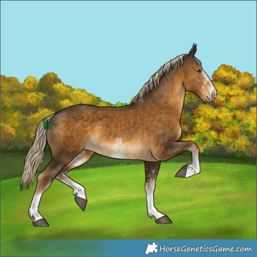 Horse Color:White Spotted Chocolate Palomino Mushroom Tobiano