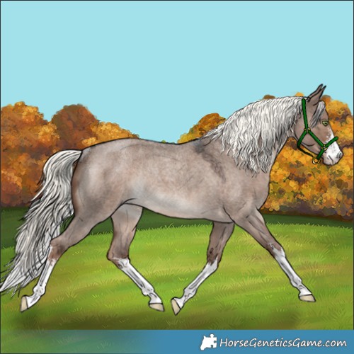 Horse Color:White Spotted Liver Red Dun Roan Mushroom Rabicano 