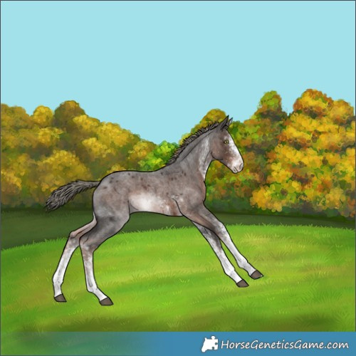Horse Color:White Spotted Liver Red Roan Mushroom 