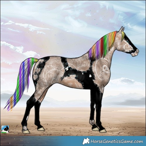 Horse Color:Painted Silver Bay Ice Dun Splash Tobiano 