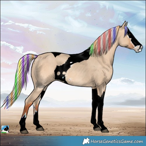 Horse Color:ERROR: UNKNOWN ANOMALY