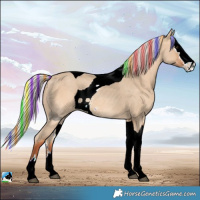 Horse Color:ERROR: UNKNOWN ANOMALY