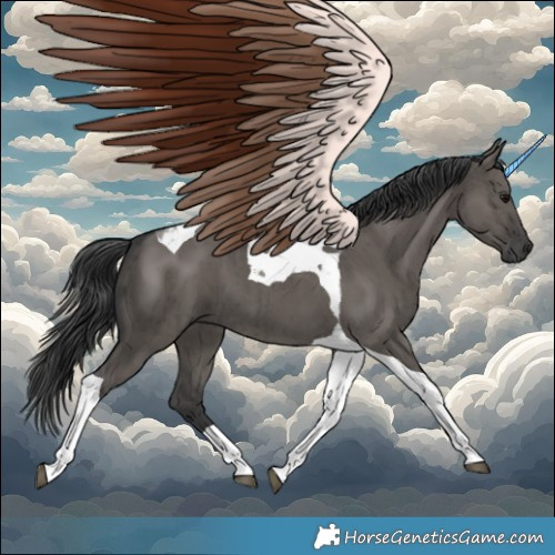 Horse Color:Grullo Tobiano Brindle