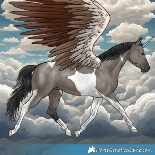 Horse Color:Grullo Tobiano 