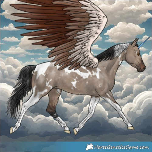 Horse Color:White Spotted Brown Dun Tobiano