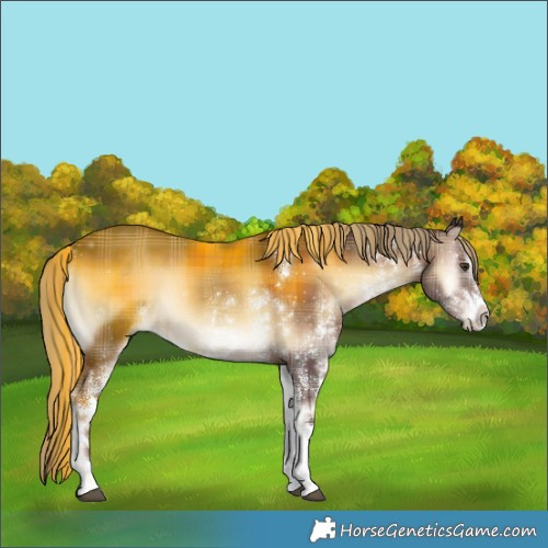 Horse Color:Plaid  White Spotted Liver Red Onyx 