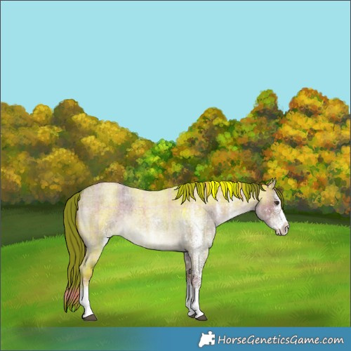 Horse Color:Plaid  White Spotted Liver Red Dun Roan 