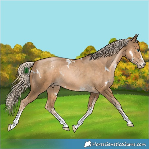 Horse Color:White Spotted Chocolate Palomino Pearl 