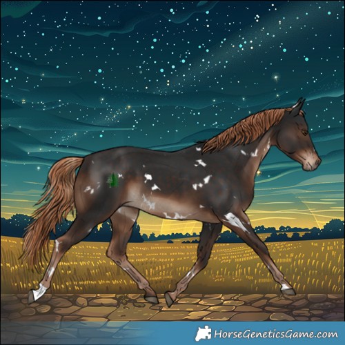 Horse Color:White Spotted Liver Chestnut 