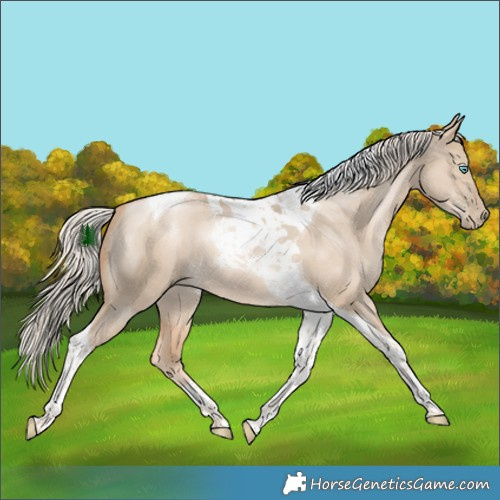 Horse Color:Chocolate Palomino Snowdrop Dun Tobiano 