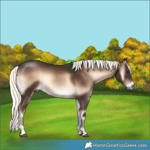 Horse Color:Liver Red Onyx Mushroom