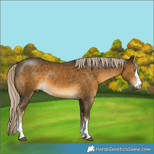 Horse Color:Chocolate Palomino Mushroom 