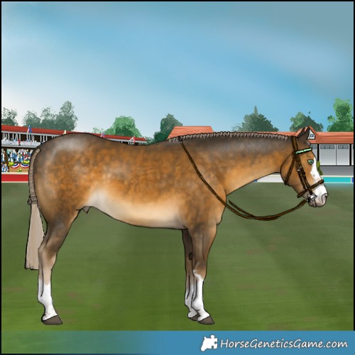 Horse Color:Chocolate Palomino Mushroom