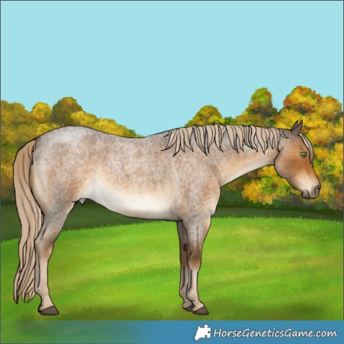 Horse Color:Chocolate Palomino Roan Mushroom 