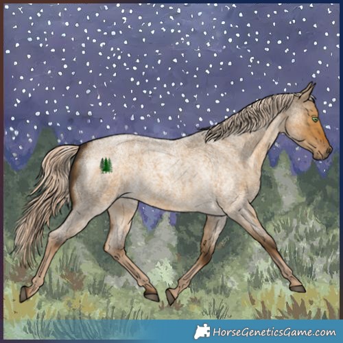 Horse Color:White Spotted Chocolate Palomino Roan Dun 