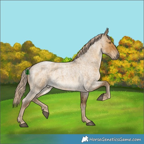 Horse Color:White Spotted Chocolate Palomino Roan Dun 