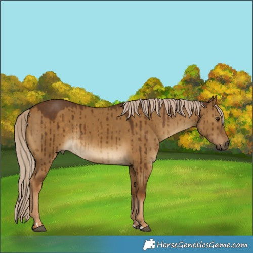 Horse Color:Chocolate Palomino Dun Rabicano Brindle 