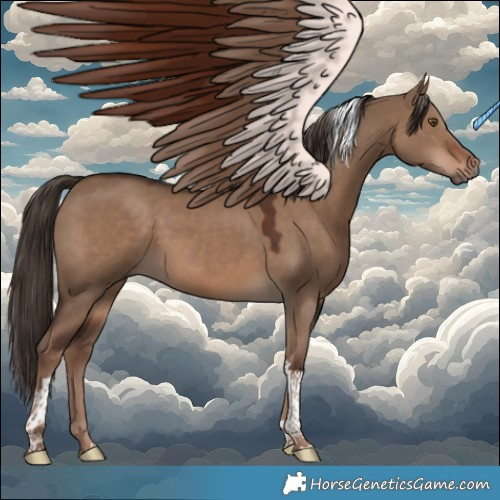 Horse Color:Liver Red Dun Tobiano 