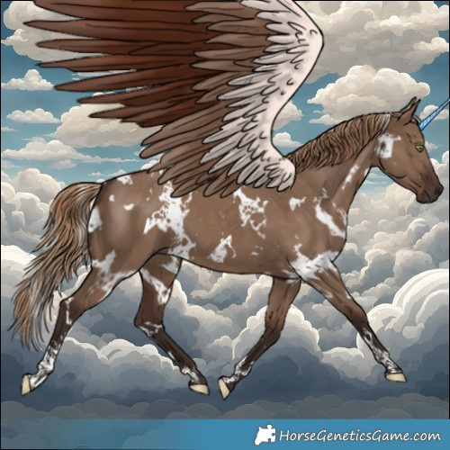 Horse Color:White Spotted Liver Red Dun 