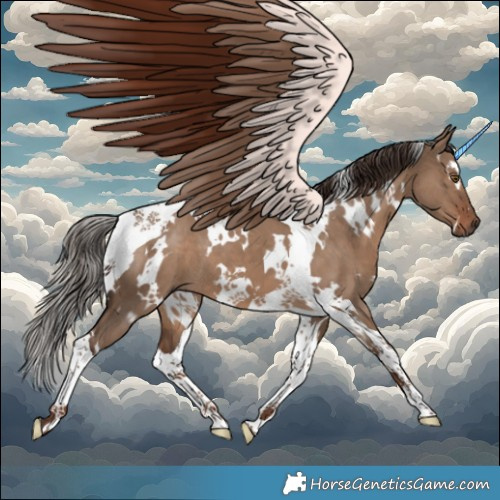 Horse Color:White Spotted Liver Red Dun Tobiano 