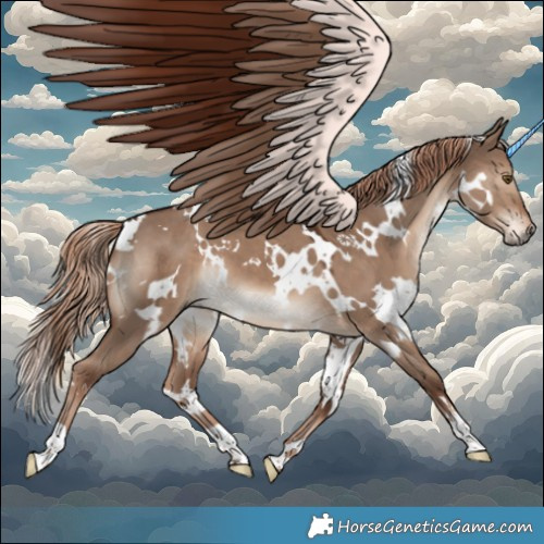 Horse Color:White Spotted Liver Red Dun 