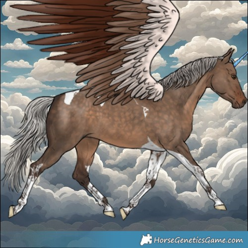 Horse Color:Silver Brown Dun Tobiano 