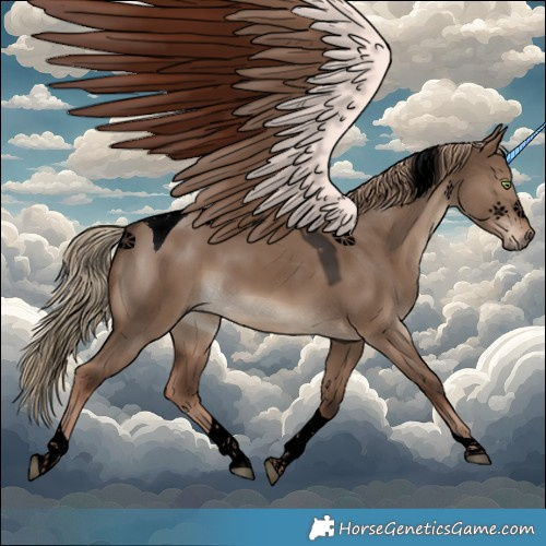 Horse Color:Void Liver Red Dun Tobiano 