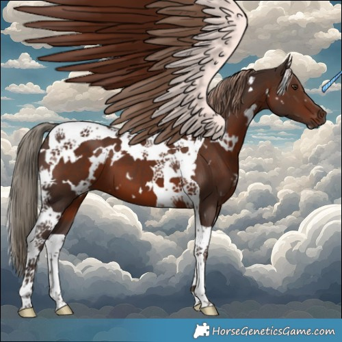 Horse Color:White Spotted Liver Chestnut Tobiano 