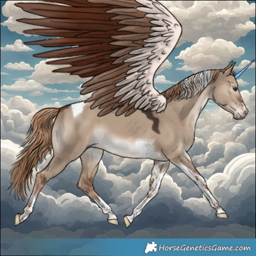Horse Color:Liver Red Dun Tobiano