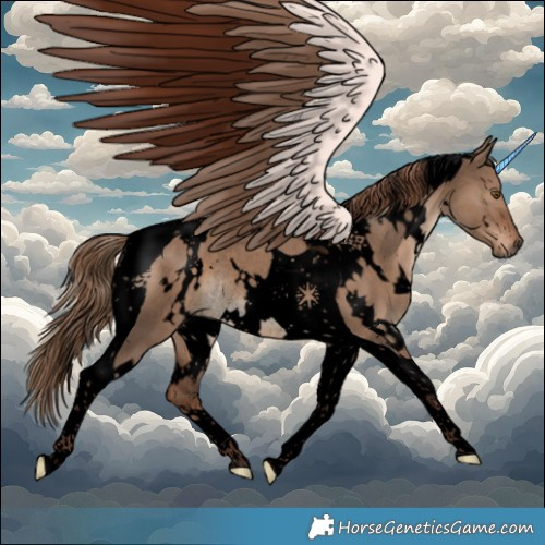 Horse Color:Void White Spotted Liver Red Dun Tobiano Rabicano 