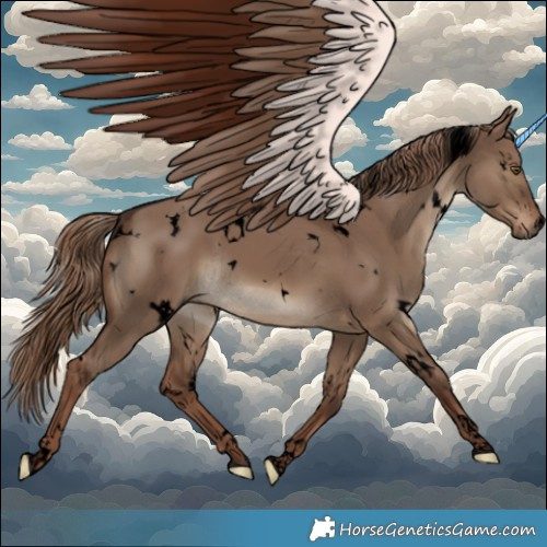 Horse Color:Void White Spotted Liver Red Dun Rabicano