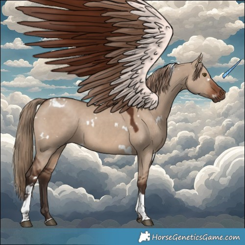 Horse Color:White Spotted Liver Red Dun Tobiano 