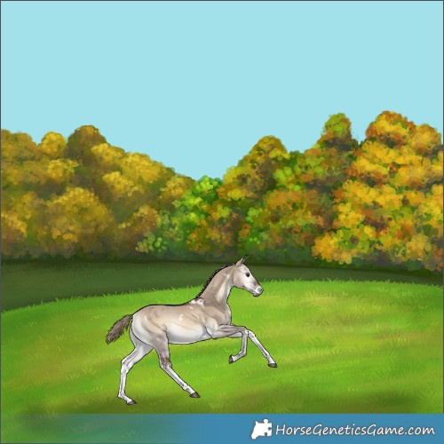 Horse Color:White Spotted Liver Red Dun Onyx Tobiano 