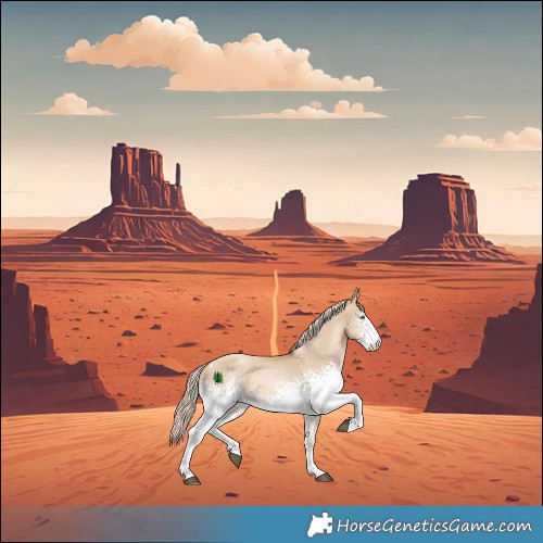 Horse Color:White Spotted Liver Red Dun Snowdrop