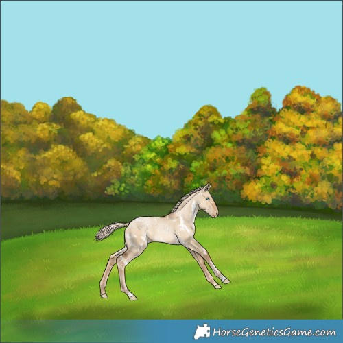 Horse Color:White Spotted Chocolate Palomino Snowdrop Dun 